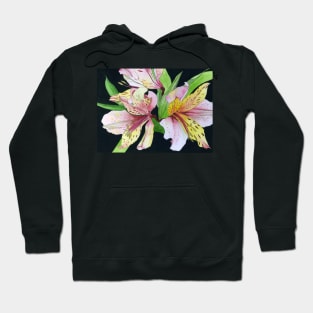 Pink and Yellow Alstroemeria Lilies watercolor painting Hoodie